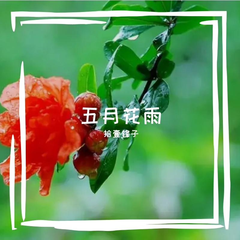 五月花雨