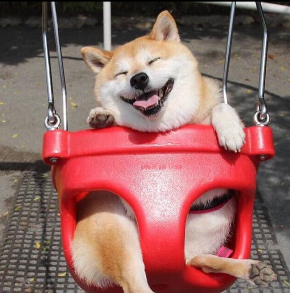 九张机（Cover 叶炫清）