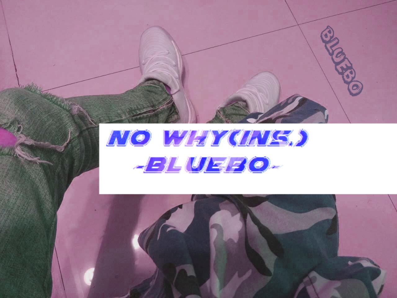 NO WHY（ins.）专辑