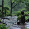 Yoga & Meditación - Lluvia Calmante Para El Equilibrio Del Yoga