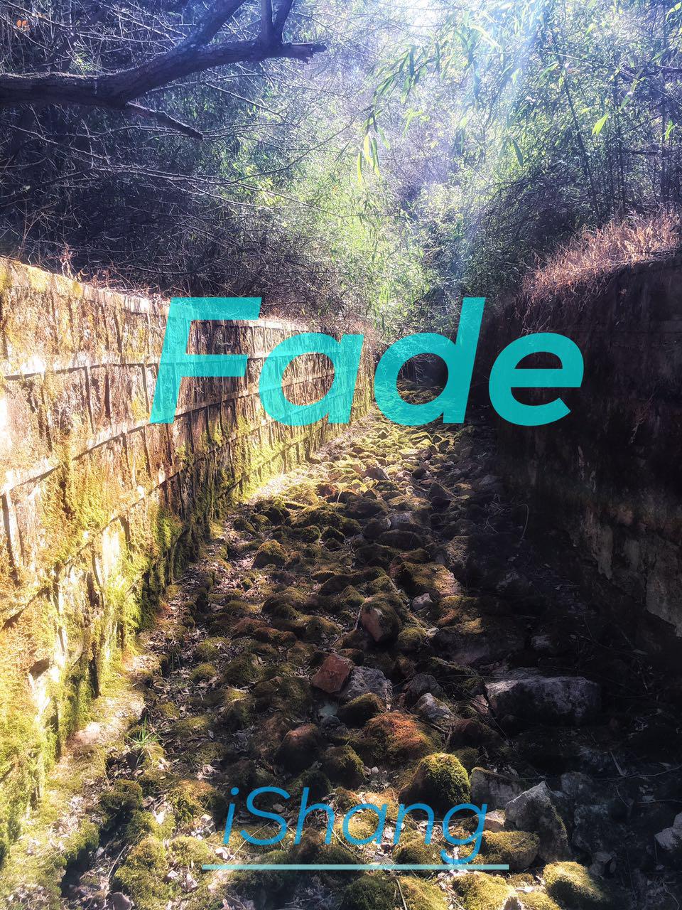 Fade(iShang Remix)专辑