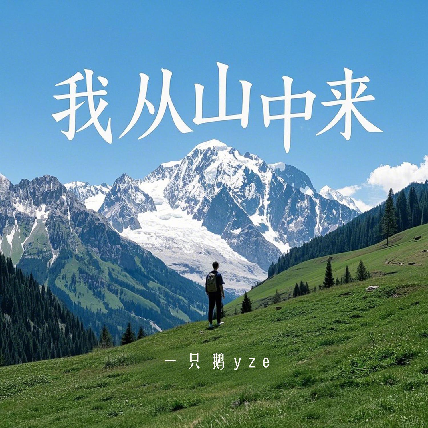 我从山中来 (DJ烟嗓女声版)