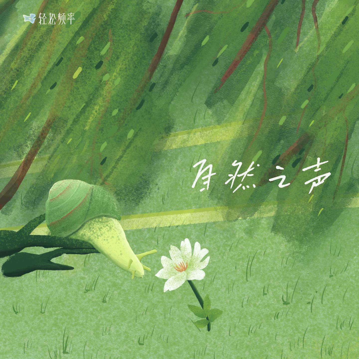 自然之声