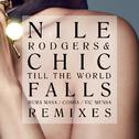 Till The World Falls (Remixes)专辑