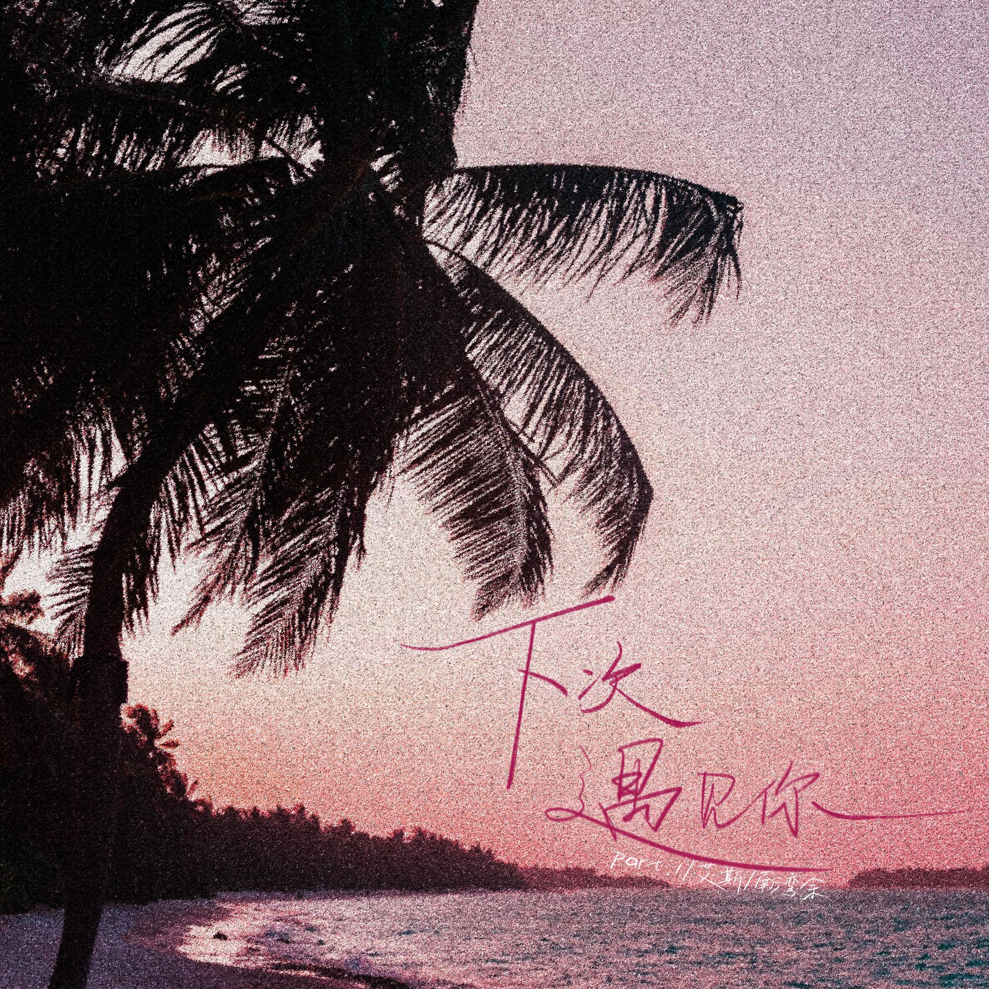 下次遇见你