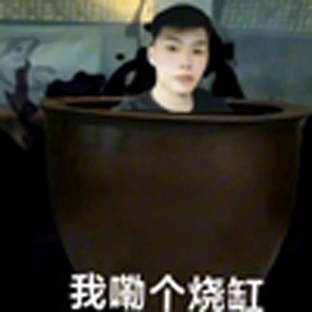 我了个骚刚(小猫)