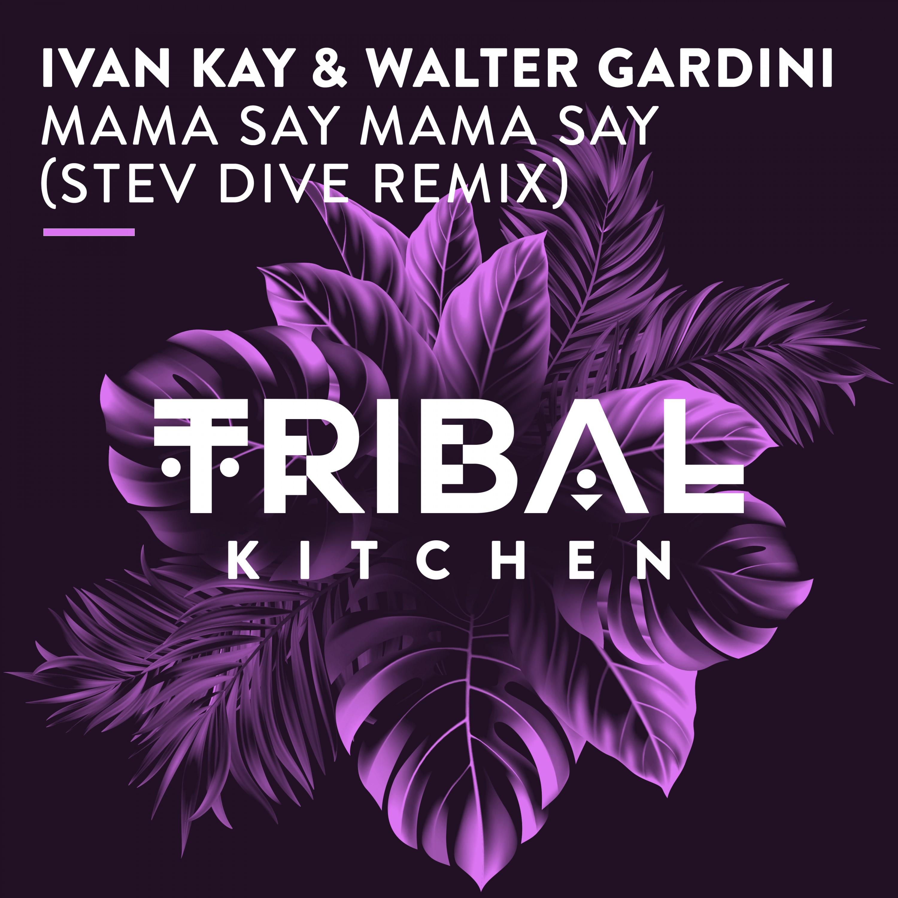 Mama Say Mama Say (Stev Dive Remix)