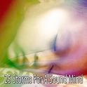 25 Storms For A Sound Mind专辑