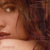 Shameless - Camila Cabello (unofficial Instrumental) 无和声伴奏