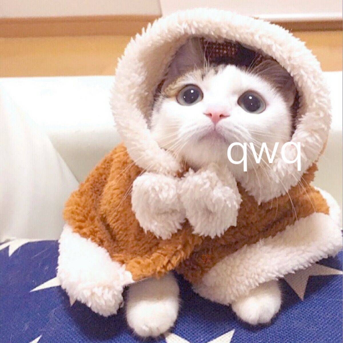 眉间雪（剧情版）