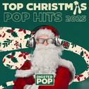 Top Christmas Pop Hits 2024 by Digster Pop专辑