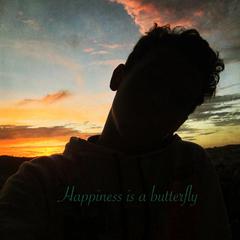 Happiness is a butterfly