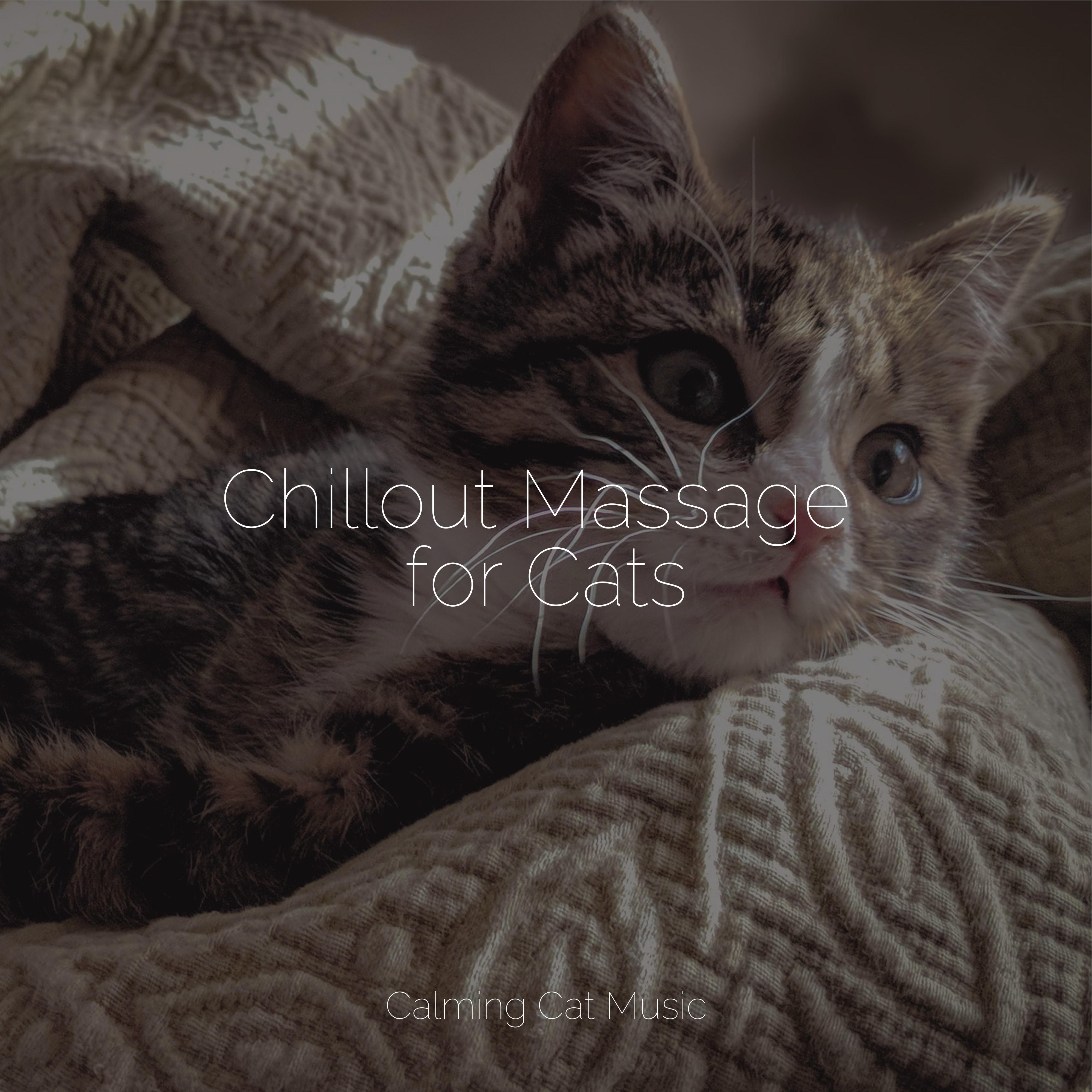 Calm Music for Cats - Ambient Sounds