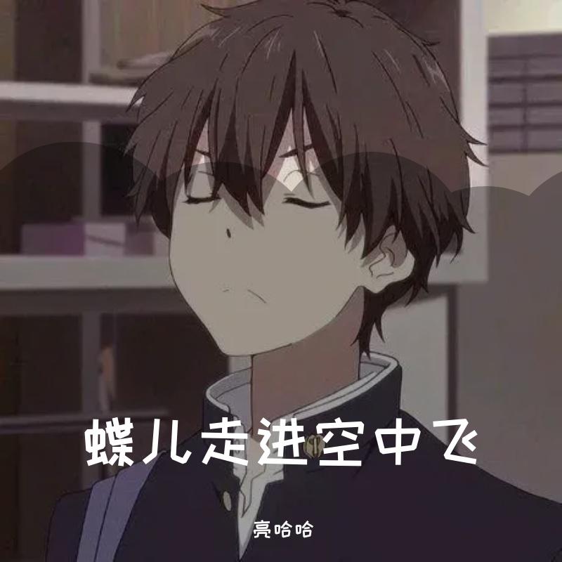 蝶儿总在空中飞（伴奏）