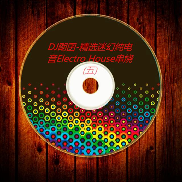 DJ朙囝-精选迷幻纯电音Electro House串烧(五)专辑