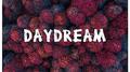 Daydream专辑