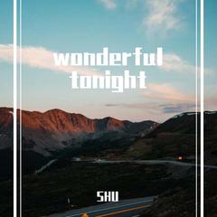 wonderful tonight