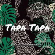 DJ PARWAZ-Tapa Tapa（GYN777 / GRABOTE remix）