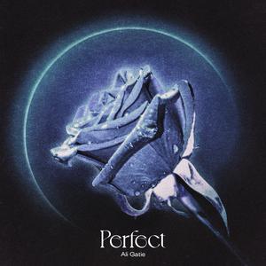 Ali Gatie - Perfect (Acoustic) (不插电伴奏) （升8半音）