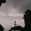 life`s a bitch专辑