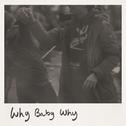 Why Baby Why专辑