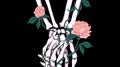 Rosesfall专辑