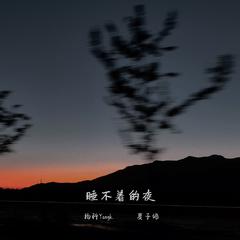 睡不着的夜