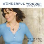 Wonderful Wonder (Single)专辑