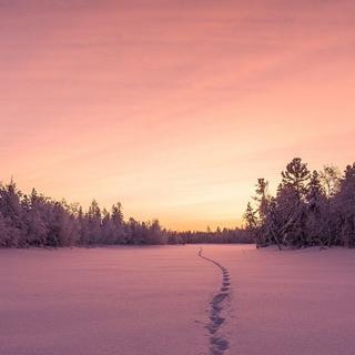 「失眠者」跌落深海，听琴声告白