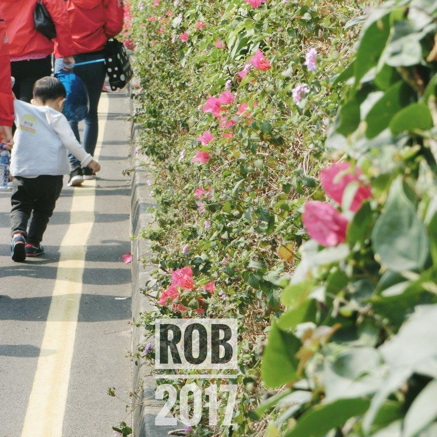 Rob整理的中小学音乐课本