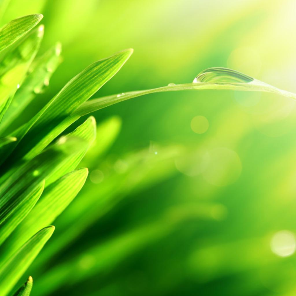 百变闹钟&铃声 | 在线播放 | 网易云音乐