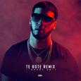 Te Bote (Remix)