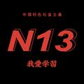 N13