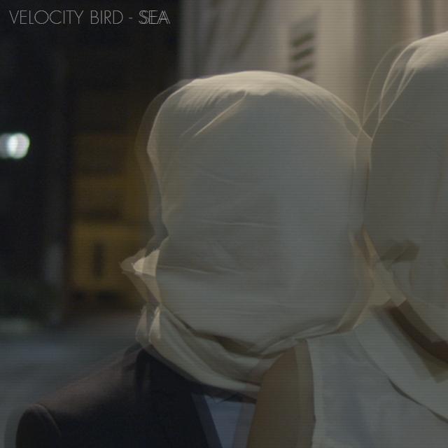 Velocity Bird