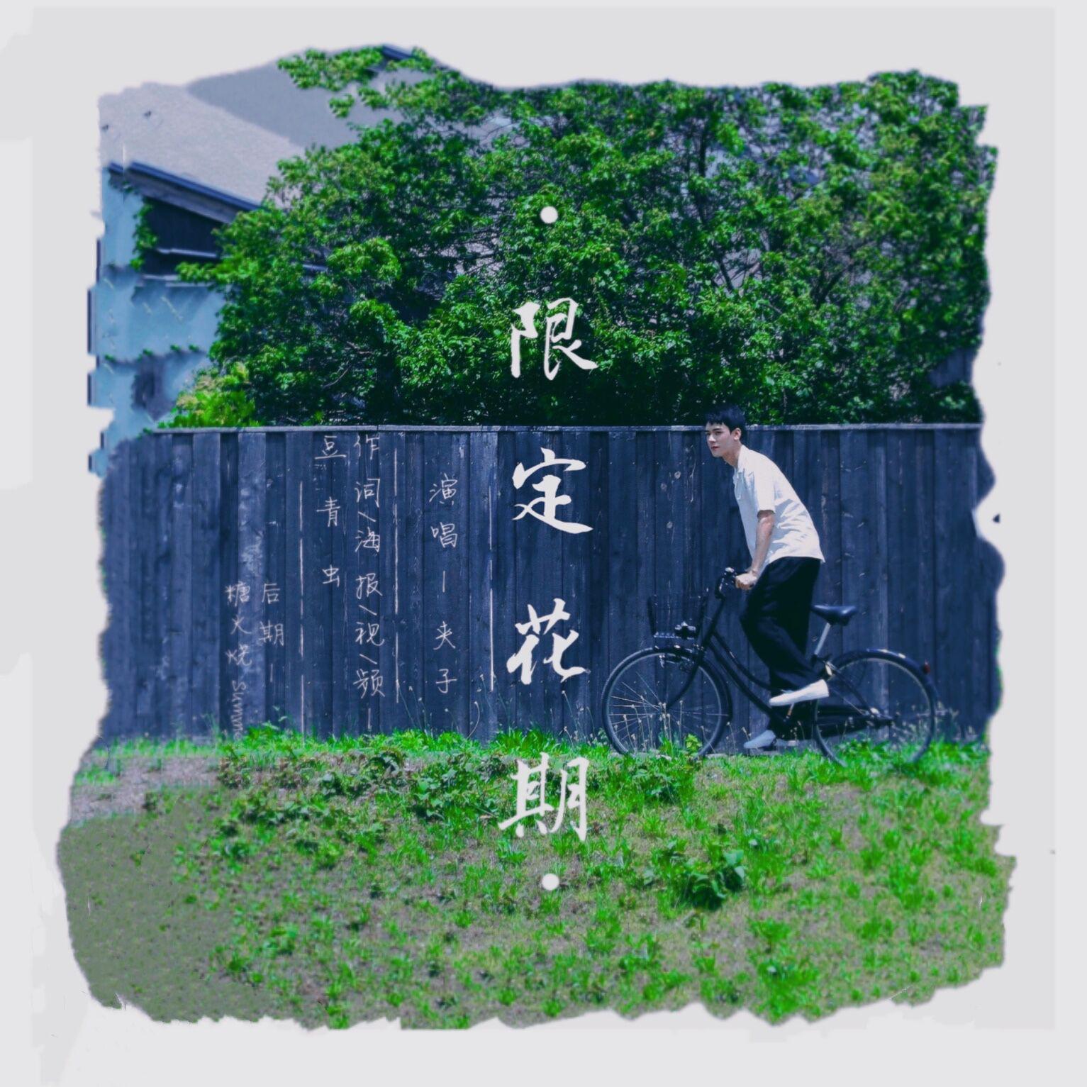 限定花期|浪浪钉