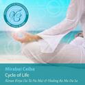 Meditations for Transformation: Cycle of Life专辑