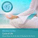 Meditations for Transformation: Cycle of Life专辑