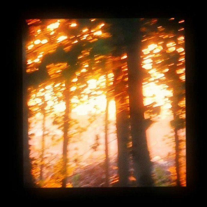 白菜对我笑(desce até o chão)