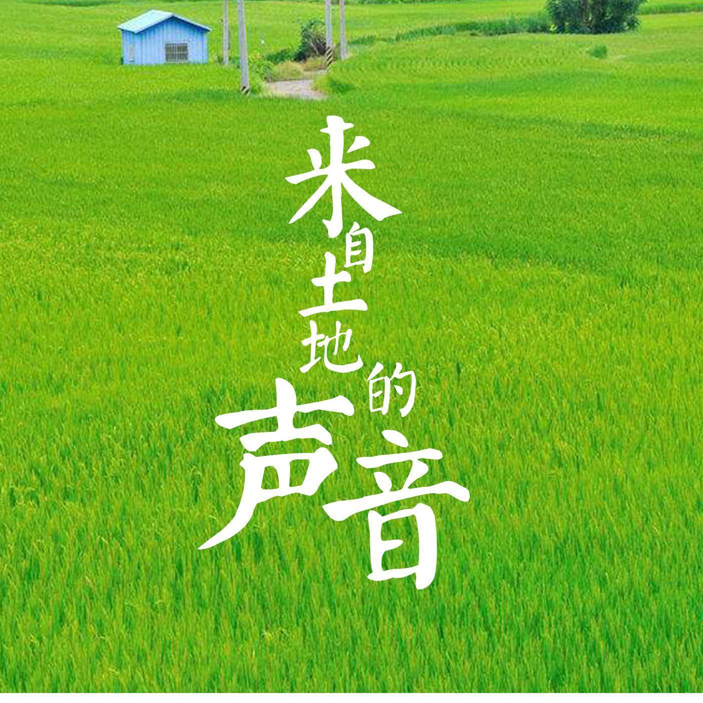 来自土地的声音