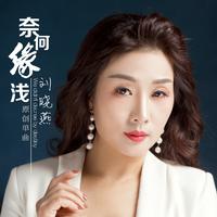 刘晓燕 - 奈何缘浅(原版立体声伴奏)