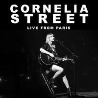 Taylor Swift - Cornelia Street (HT Instrumental) 无和声伴奏