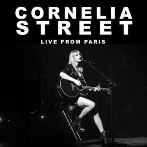 Cornelia Street - Taylor Swift (karaoke) 带和声伴奏 （升8半音）