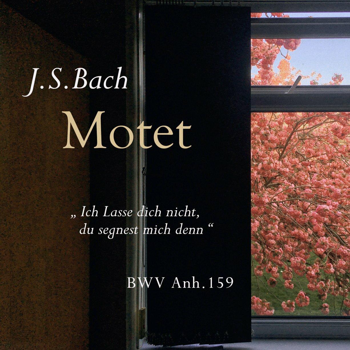 Bach: Motet BWV Anh.159