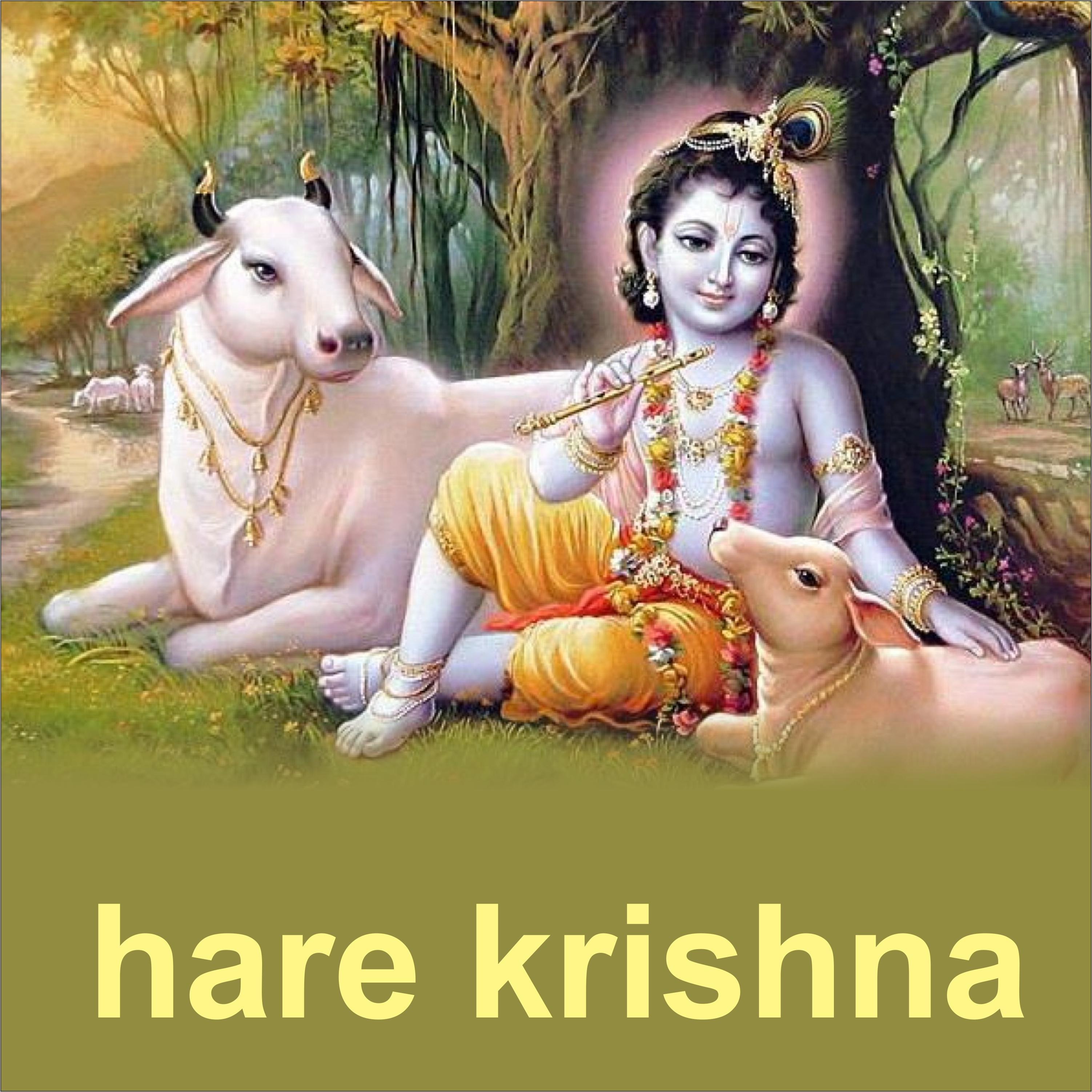 Hare Krishna专辑