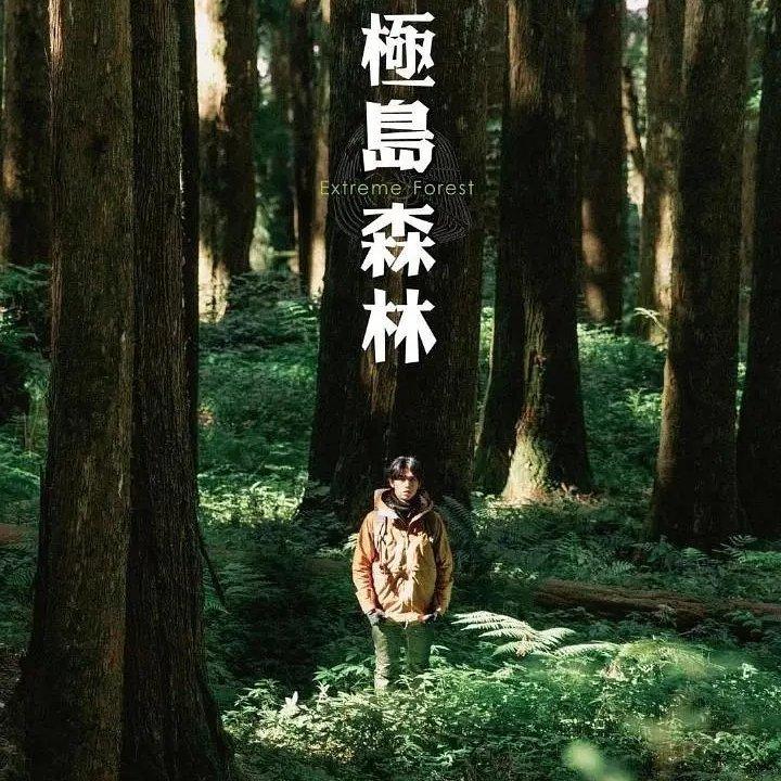 极岛森林 | 不是旅程而是巡礼