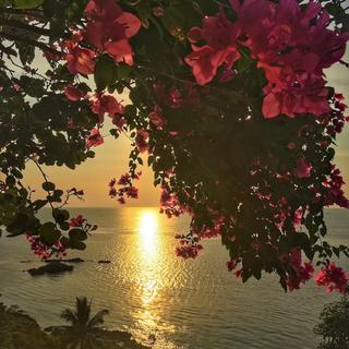 ｜如果你多看看我｜就不听这些歌啦｜