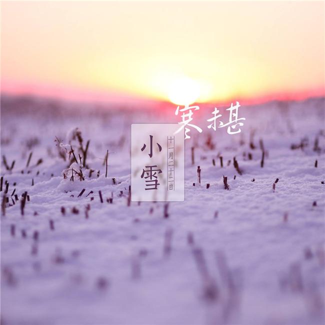 杨山 - 小雪 (DJ阿福 Remix)