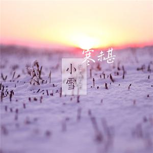 杨山 小雪 [中国新歌声Live伴奏] （降7半音）
