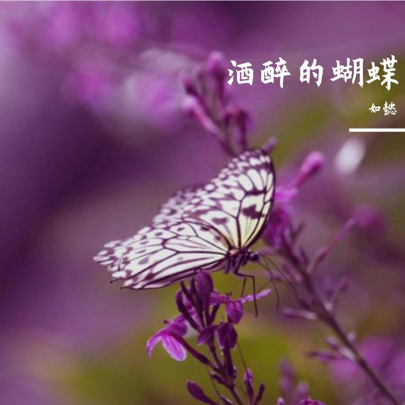 酒醉的蝴蝶