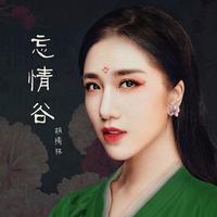 胡杨林 - 忘情谷(原版立体声伴奏)